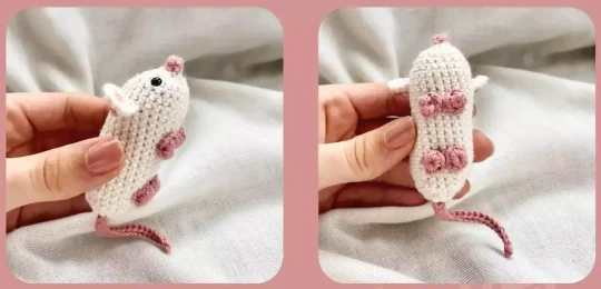 Little Mouse tips 