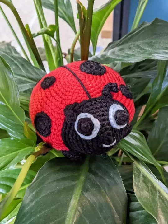 Amigurumi Ladybug Free Crochet Pattern