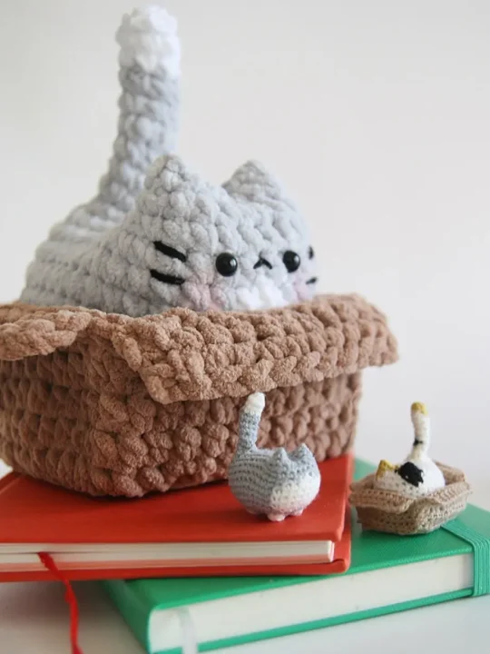 Box for Kitten Free Crochet Pattern 